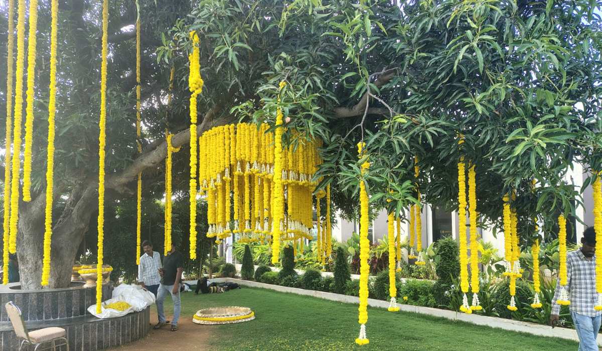 Outdoor Wedding